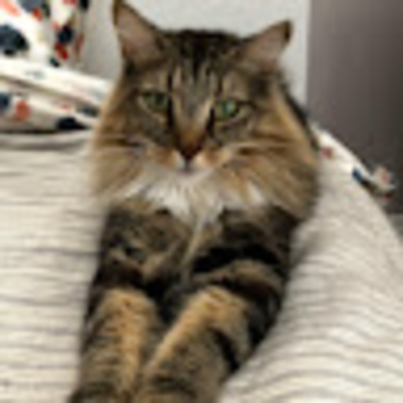 Meet your Posher, Taylor - Picture 1 of 1